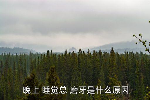  晚上 睡覺總 磨牙是什么原因
