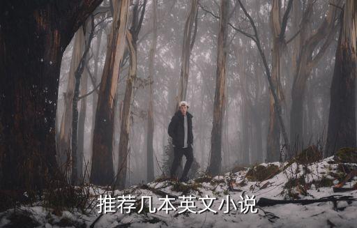 英文小說推薦，有什么好看的英文小說