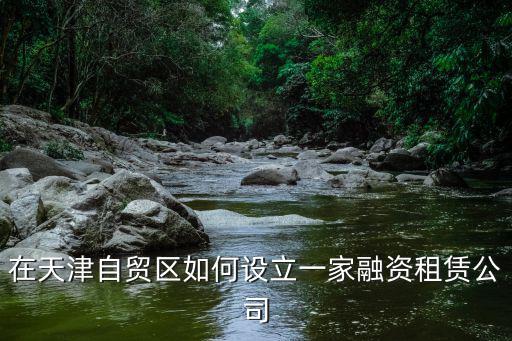 在天津自貿區如何設立一家融資租賃公司