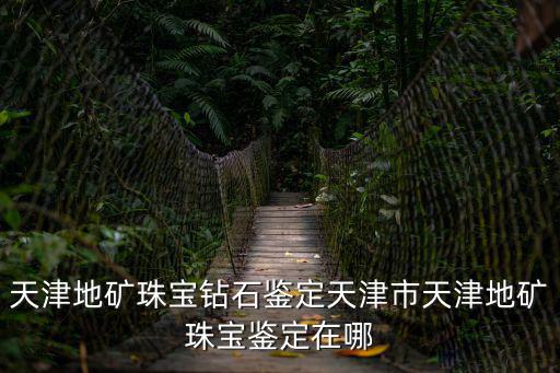 天津地礦珠寶鉆石鑒定天津市天津地礦珠寶鑒定在哪