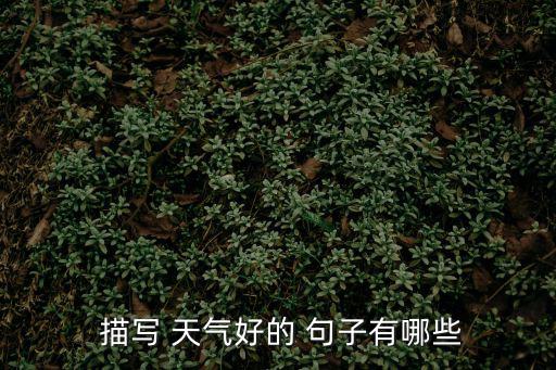 描寫天氣的優美句子,晴天永遠是晴天