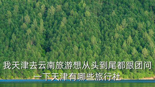 我天津去云南旅游想從頭到尾都跟團問一下天津有哪些旅行社
