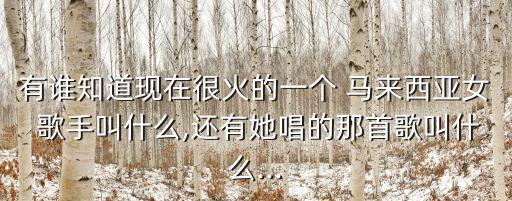 馬來西亞女歌手,馬來西亞女歌手茜拉出道已發行10張專輯