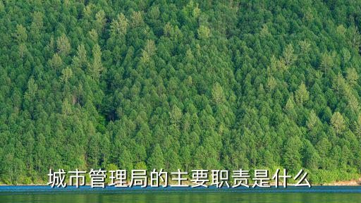 城市管理局的主要職責是什么