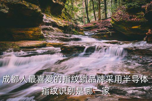 成都人最喜愛的指紋鎖品牌采用半導(dǎo)體指紋識(shí)別是哪一家