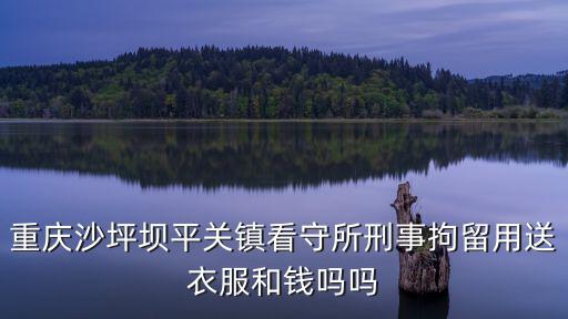 重慶市沙坪壩區看守所鄭山龍，誰可以告訴我沙坪壩看守所