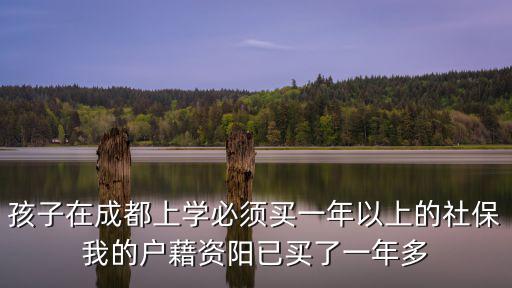 孩子在成都上學必須買一年以上的社保我的戶藉資陽已買了一年多