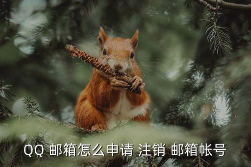 qq郵箱怎么注銷,先申請后注銷qq郵箱具體步驟如下