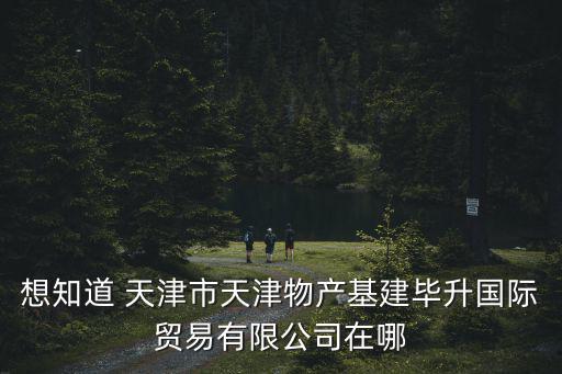 想知道 天津市天津物產(chǎn)基建畢升國際貿(mào)易有限公司在哪