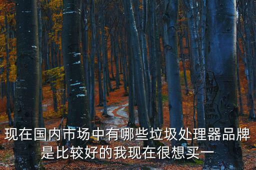 現(xiàn)在國內(nèi)市場中有哪些垃圾處理器品牌是比較好的我現(xiàn)在很想買一