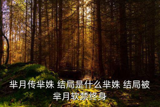 羋月傳羋姝 結(jié)局是什么羋姝 結(jié)局被羋月軟禁終身