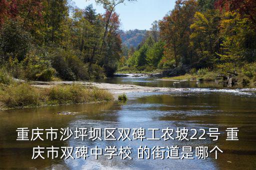 重慶市沙坪壩區雙碑工農坡22號 重慶市雙碑中學校 的街道是哪個