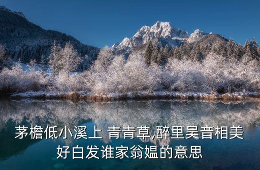 白白色青青草,水分充沛湖湖馬公出現(xiàn)野生蘑菇