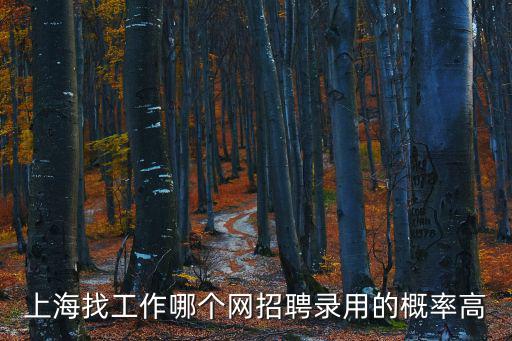 上海找工作哪個網招聘錄用的概率高