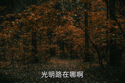 光明路在哪啊