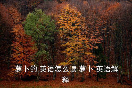  蘿卜的 英語怎么讀 蘿卜 英語解釋