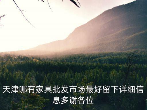 天津哪有家具批發市場最好留下詳細信息多謝各位