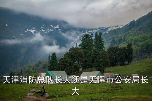 天津消防總隊長大還是天津市公安局長大
