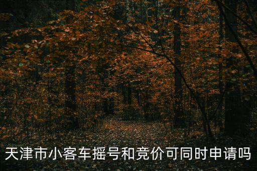 天津市小客車搖號和競價可同時申請嗎