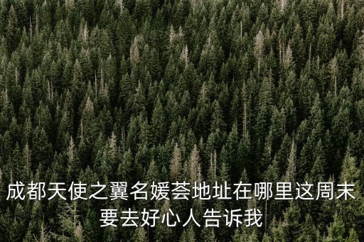 成都天使之翼名媛薈地址在哪里這周末要去好心人告訴我
