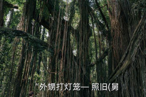 “外甥打燈籠— 照舊(舅