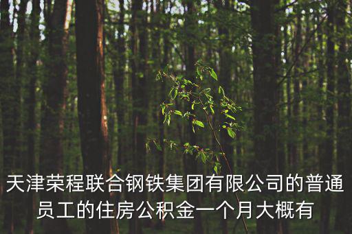 天津榮程聯合鋼鐵集團有限公司的普通員工的住房公積金一個月大概有
