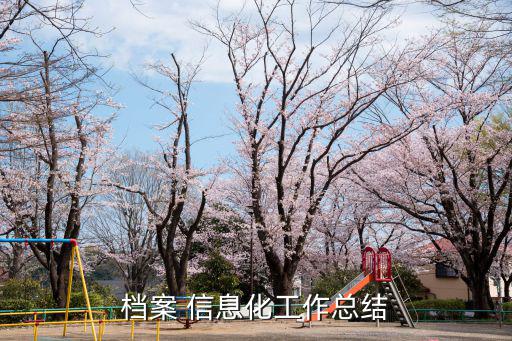 信息化建設總結,水利信息化建設工作回顧（一）
