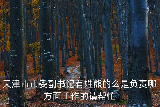 天津市市委副書記有姓熊的么是負責哪方面工作的請幫忙
