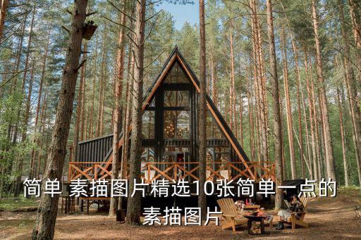 素描圖,第五集:素描樹構圖簡單易學