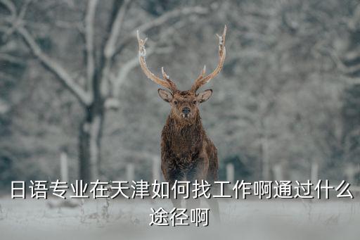 日語專業(yè)在天津如何找工作啊通過什么途徑啊