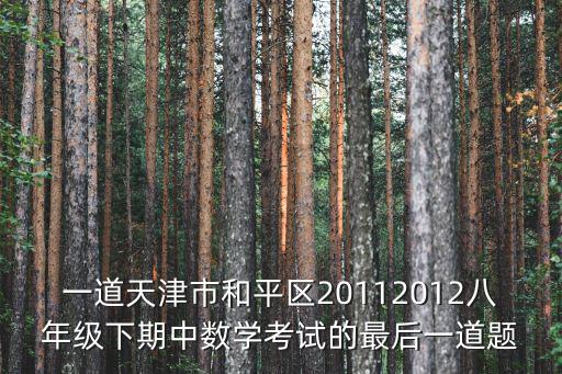 一道天津市和平區20112012八年級下期中數學考試的最后一道題