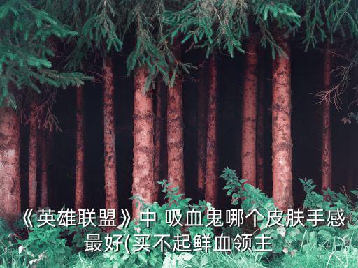 吸血鬼符文,水晶樞紐遍布符文最大的大陸位于瓦蘭大陸
