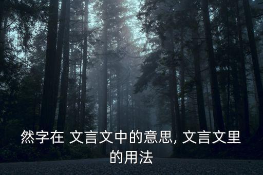 然字在 文言文中的意思, 文言文里的用法