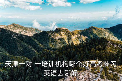 天津一對 一培訓機構哪個好高考補習英語去哪好