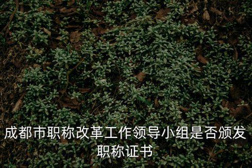 成都市職稱改革工作領導小組是否頒發職稱證書
