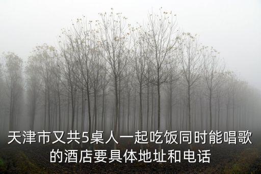 天津市又共5桌人一起吃飯同時能唱歌的酒店要具體地址和電話