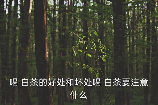 喝 白茶的好處和壞處喝 白茶要注意什么