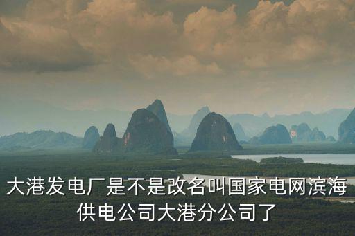 天津市大港區(qū)電力公司，大港發(fā)電廠是不是改名叫國家電網(wǎng)濱海供電公司大港分公司了