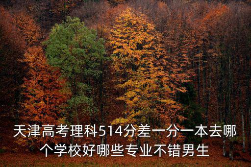 天津高考理科514分差一分一本去哪個(gè)學(xué)校好哪些專業(yè)不錯(cuò)男生