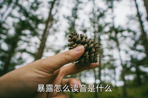 暴露怎么讀音是什么