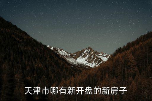 天津市哪有新開盤的新房子