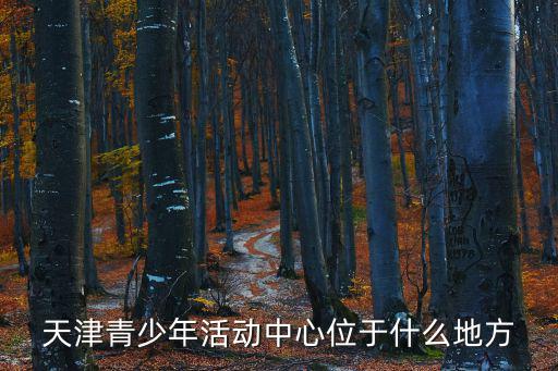 天津青少年活動中心位于什么地方