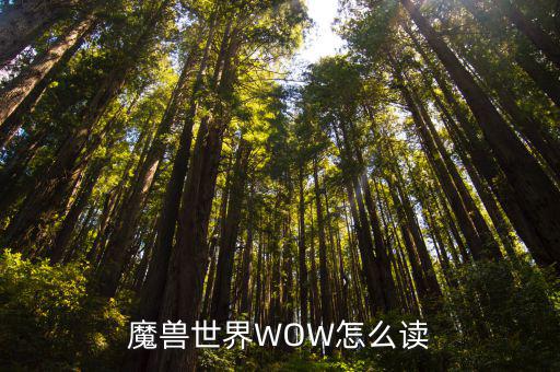wow英語怎么讀,英漢雙語示例:魔獸世界名稱概念進入漢語