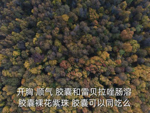 開胸順氣膠囊,無證據顯示復方氨酚烷胺片等藥物與中成藥相似