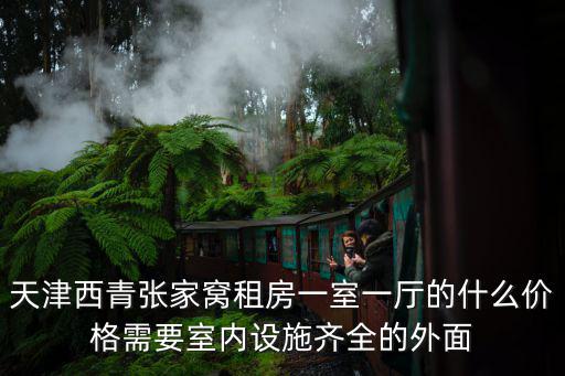 天津西青張家窩租房一室一廳的什么價格需要室內設施齊全的外面