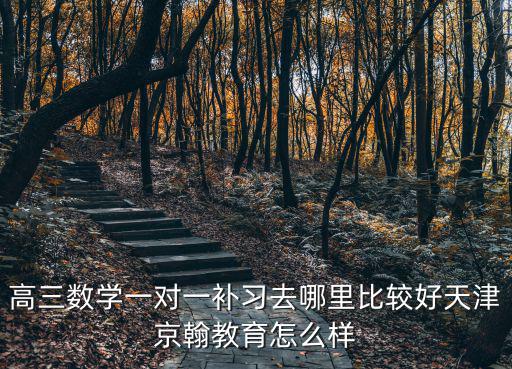天津市和平區張莉老師，高三數學一對一補習去哪里比較好天津京翰教育怎么樣