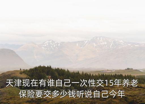 天津現(xiàn)在有誰自己一次性交15年養(yǎng)老保險要交多少錢聽說自己今年