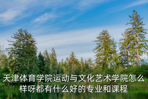 天津體育學院運動與文化藝術學院怎么樣呀都有什么好的專業和課程