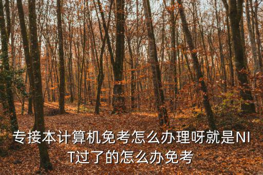 專接本計算機免考怎么辦理呀就是NIT過了的怎么辦免考
