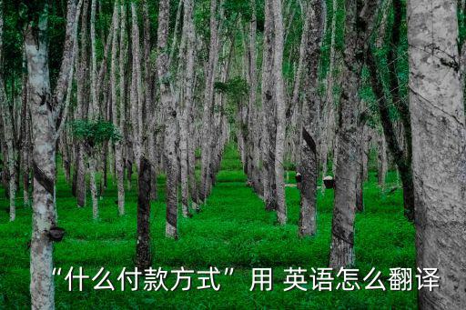 “什么付款方式”用 英語怎么翻譯
